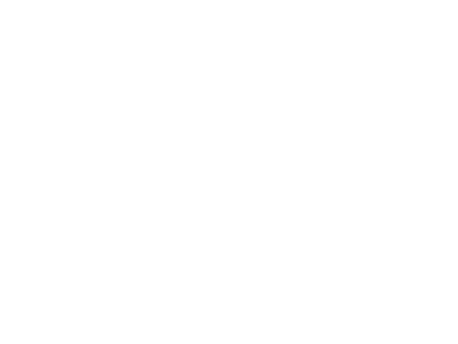 Dino-lite logo